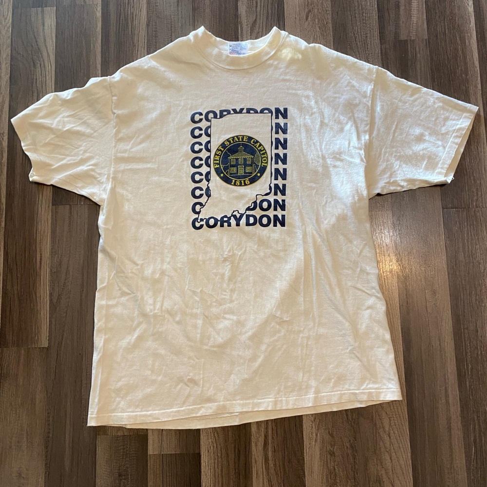 Vintage hanes beefy T! Indiana